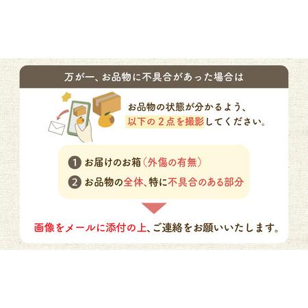 ふるさと納税 みかん 約10kg（100〜120個）    長与町 ＜長崎西彼農業協同組合 長与支店＞ 温州みかん みかん10kg 温州  [EAH003] 長崎県長与町