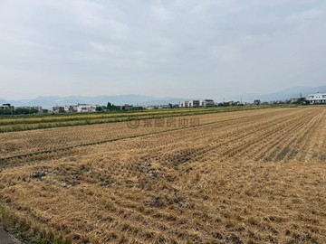 陳遠凰~宜蘭高鐵預定擴大區熱騰騰新福小農地｜宜蘭縣壯圍鄉新福段