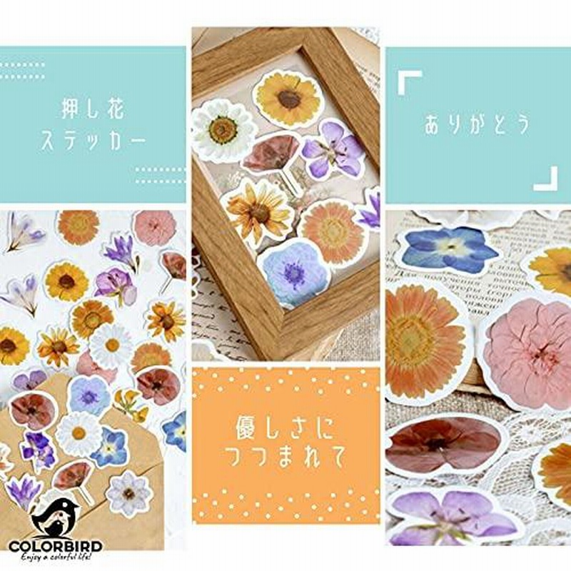 Colorbird 押し花 ステッカー 92枚 花 シール スマホケース かわいい 手帳シール スクラップブックステッカー 通販 Lineポイント最大0 5 Get Lineショッピング