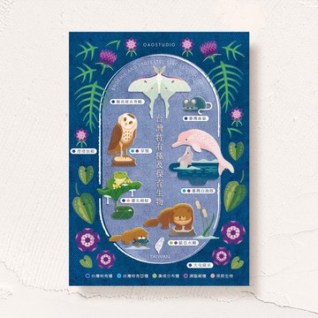 postcard-台灣特有種與保育動物系列-Vol.03(水獺)