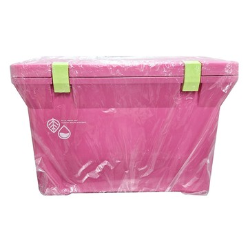 Livewell繽紛色系保冷/保溫冰箱 日本製  粉色  15L