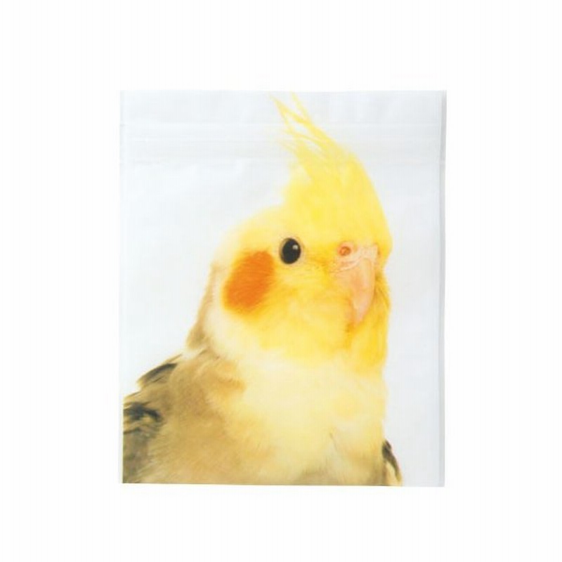 35 オカメインコ 壁紙 Pc