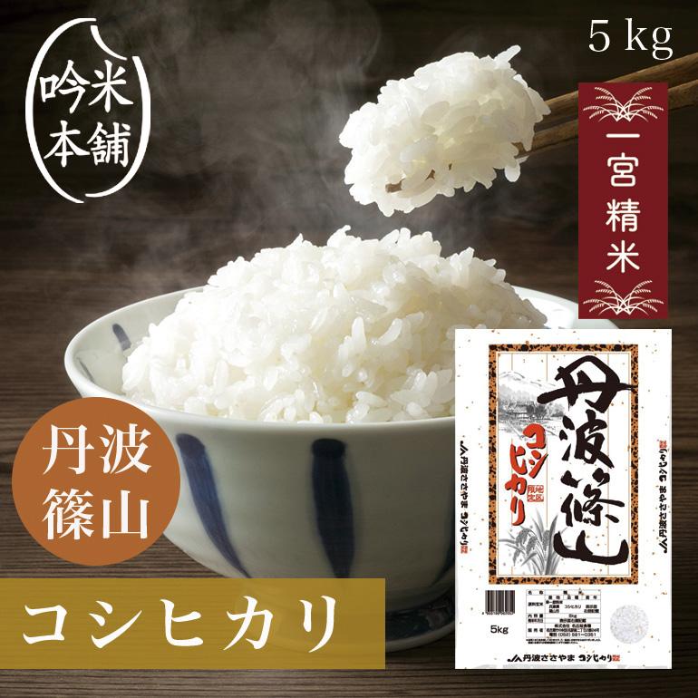 コシヒカリ 米 5kg 白米 丹波篠山産 送料無料 一宮精米 令和5年