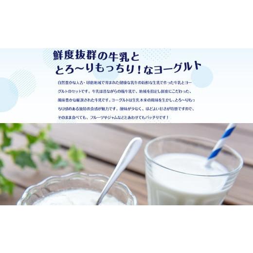 ふるさと納税 熊本県 湯前町 球磨酪農おすすめセットA（瓶牛乳ヨーグルト加糖・砂糖不使用）