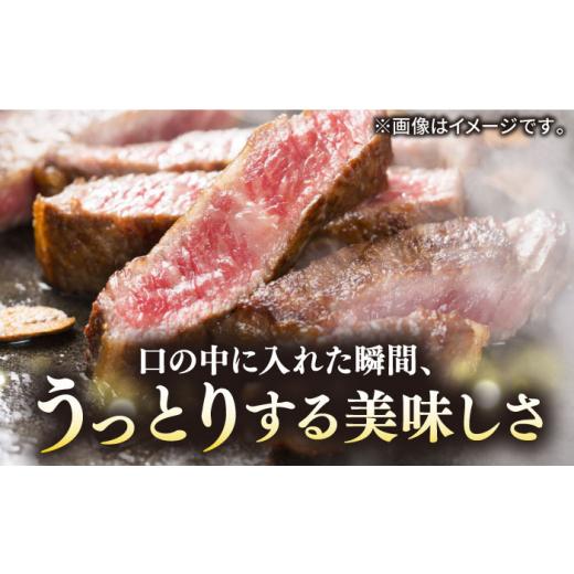 ふるさと納税 長崎県 壱岐市 壱岐牛 A5ランク サーロインステーキ 雌 350g×1枚《 壱岐市 》 ステーキ サーロイン BBQ 和牛 …