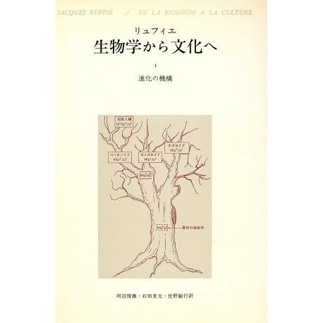 生物学から文化へ　１／Ｊ．リュフィエ(著者),河辺俊雄(著者)