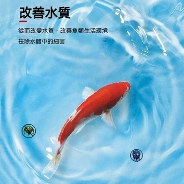 【台灣出貨】🚚高錳酸鉀 開缸殺菌 淨水劑 水族 水產養殖溶液 觀賞魚通用 水族用品