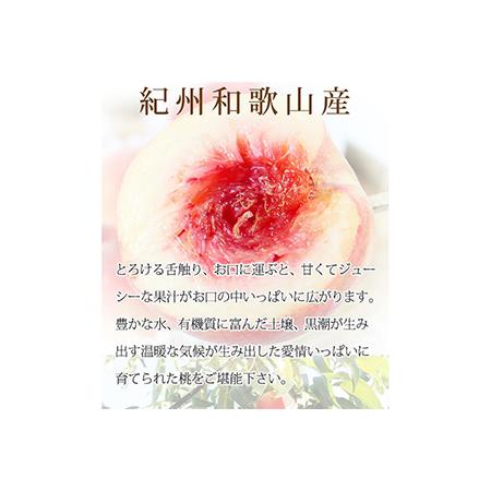 ふるさと納税 紀州和歌山産の桃　約1.8kg　化粧箱入◇ ※2024年6月下旬〜8月中旬頃に順次発送予定 和歌山県美浜町