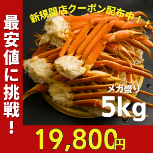 ボイルずわいがに 脚 特大 山盛 5kg 14-16肩 5-7人前 ギフト お歳暮 贈りもの ズワイガニ かに カニ 蟹