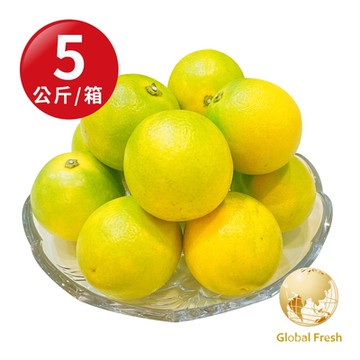 【盛花園蔬果】台灣特選23A柳丁(5kg x1箱)