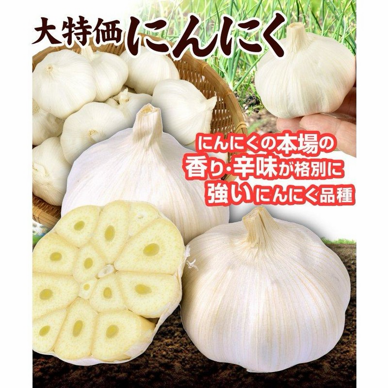 にんにく 3kg 大特価 中国産 にんにく 3Lサイズ 大蒜 送料無料