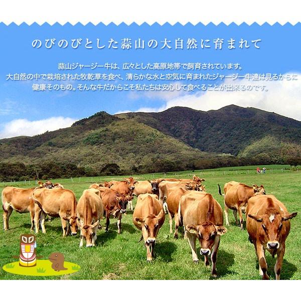 蒜山ジャージー牛 焼肉（500ｇ） 送料無料 肩ロース・バラ肉 岡山県 ブランド肉