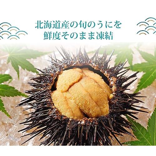 お歳暮北海道産 冷凍生ウニ 70g うに ウニ 生うに 北海道 ミョウバン不使用 贈り物 丼 うに北海道産 うに丼 ギフ