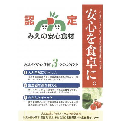 ふるさと納税 朝日町 化学農薬の節減栽培「みえの安心食材」認定コシヒカリ 精白米 20kg(10kg×2袋)