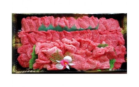 小田切牧場 信州プレミアム牛特選 焼肉セット（500g）