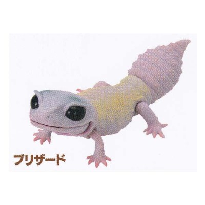 いきもの大図鑑 レプティ レオパードゲッコー Leopard gecko