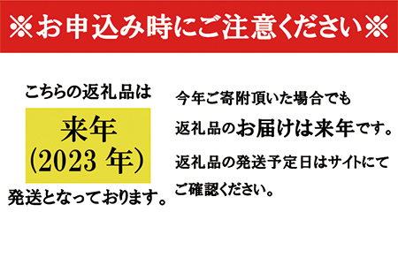 岡山県産シャインマスカット「晴王」　秀品　大房　（約2kg・2～5房程度）（令和６年8月中旬以降発送）