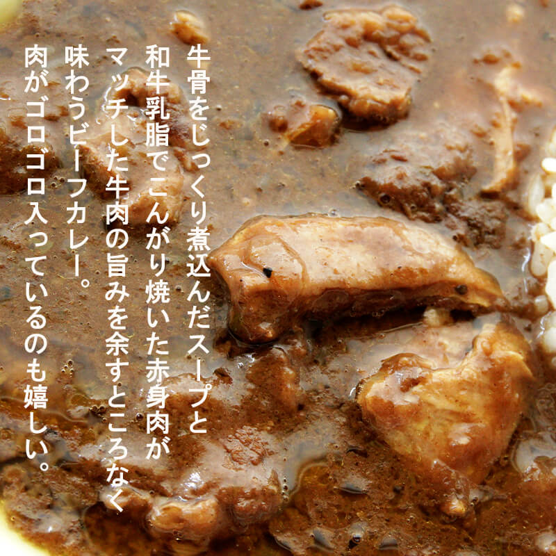 マウンテン ビーフカレー 中辛 ５食セット 牛肉 レトルト レトルトカレー 常温保存 カレー 舞鶴 京都