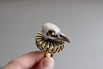 烏鴉勳爵同色飾以金項圈 / 首飾 / 可調節戒指