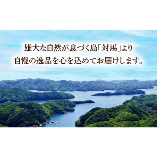 ふるさと納税 長崎県 対馬市 対馬 穴子 W セット 1kg《対馬市》国産 九州 長崎 煮穴子 白焼き [WAD043]