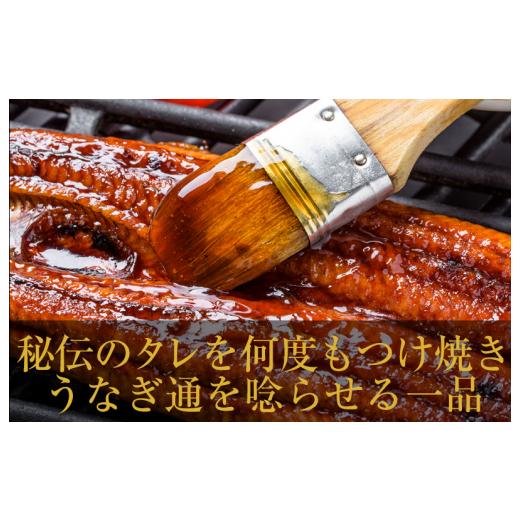 ふるさと納税 大阪府 泉佐野市 国産うなぎ ハーフカット 合計 200g 秘伝のたれ 蒲焼 訳あり 鰻 ウナギ 無頭 炭火焼き 備長炭 手焼き