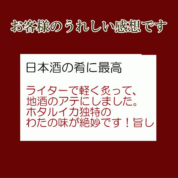 ほたるいか素干し  (20尾入り ２袋)   