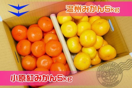 小原紅早生  完熟温州 セット 約10kg 小原紅早生みかん約5kg  完熟温州みかん約5kg S ～ Lサイズ ｜ みかん