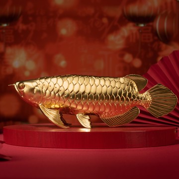 金龍魚