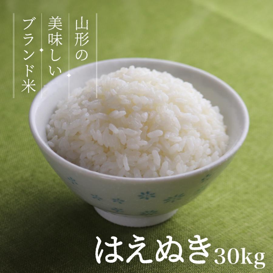 お米 はえぬき 30kg 新米 送料無料 コメ 山形県産 令和5年産 精米 玄米