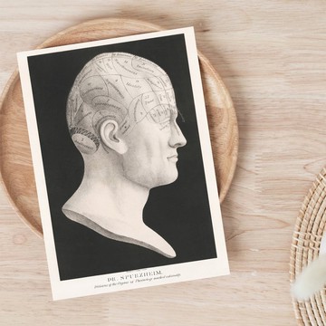 科學明信片-顱相學人格區域劃分圖