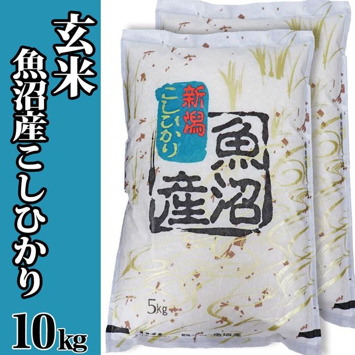 玄米 10kg(5kg×2) 令和5年度 魚沼産コシヒカリ 送料無料 (産地直送米 新潟県 新潟 こしひかり