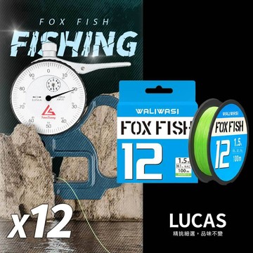 【免運隔日到！高密編織拋投距離遠】FOXFISH PE線 12編150米 PE線12編 釣魚線 母線 2250005
