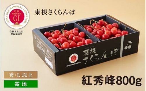 GI「東根さくらんぼ」 2024年産 紅秀峰800gバラ詰め JA産直提供