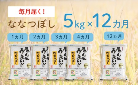 1004　《令和5年度産 新米》12ヵ月！毎月届く定期便ななつぼし「たんとうまい」５kg