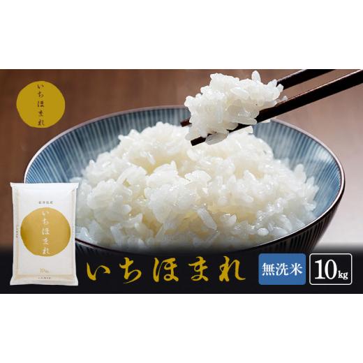 ふるさと納税 福井県 若狭町 無洗米 令和５年産 いちほまれ 10kg 福井 高級ブランド米 お米 おこめ 米 コメ こめ 白米 精米 ご飯 ごはん 福井県 [No.5580-0724…