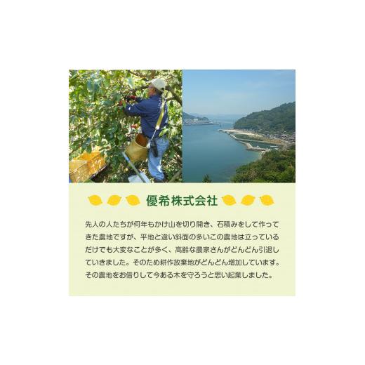 ふるさと納税 広島県 呉市 大崎下島産 栽培期間中農薬不使用 瀬戸内レモン 10kg