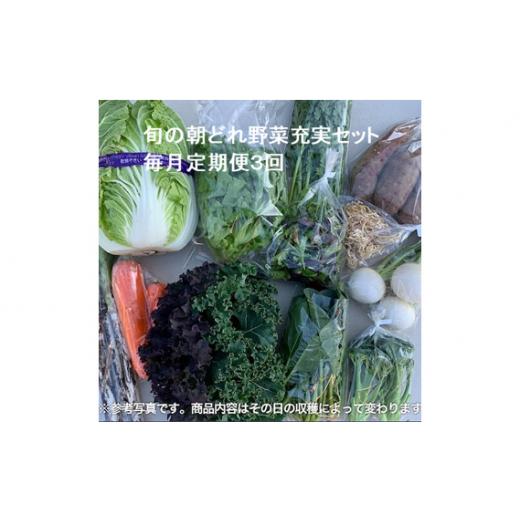 ふるさと納税 埼玉県 川越市 No.845 旬の朝どれ野菜充実セット×3回 ／ やさい 朝採れ 埼玉県