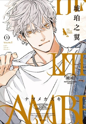 HIS LITTLE AMBER—琥珀之翼—（上）【二手書_全新】TAAZE讀冊生活