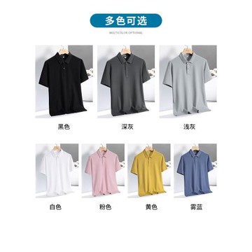 真維斯POLO衫男士夏季短袖t恤男翻領爸爸夏裝冰絲薄款體恤上衣服