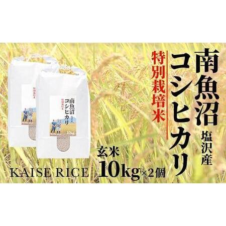 ふるさと納税 南魚沼産塩沢コシヒカリ（特別栽培米８割減農薬）玄米１０ｋｇ×２個 新潟県南魚沼市