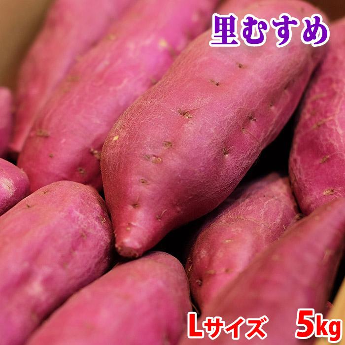 徳島県産（JA里浦）さつまいも　なると金時　「里むすめ」　秀品　Lサイズ　約5kg（18〜19本前後入）箱入り