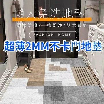 超薄2mm不卡門地墊 可擦洗地墊  門墊 進門入戶家用防滑墊 進門地墊 入戶門地墊 可訂製