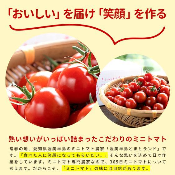 販売期間2024 06 20まで 野菜 トマト 400g  初めてのご注文限定　お試し・少量ミニトマト 産地直送