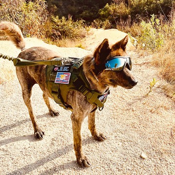 TTP戰術護目鏡 (獵人)