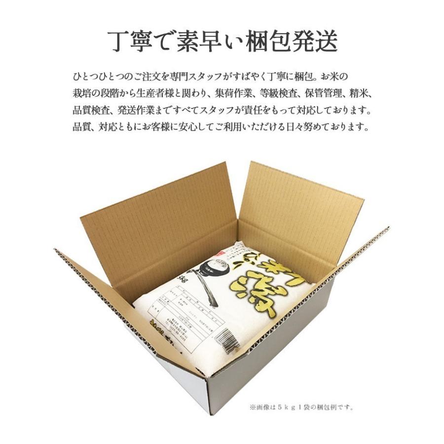 お米 15kg 白米 送料無料 新米 令和5年産 新潟県産コシヒカリ 産地直送 米 国産 国内産 15キロ ブランド米 ギフト お中元 父の日 母の日 敬老の日