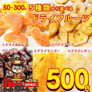 500円 ドライみかん バナナチップス レーズン ドライマンゴー ドライレモン 選べる ドライフルーツ 5種類 ドライ蜜柑 おやつ 食物繊維 ダ