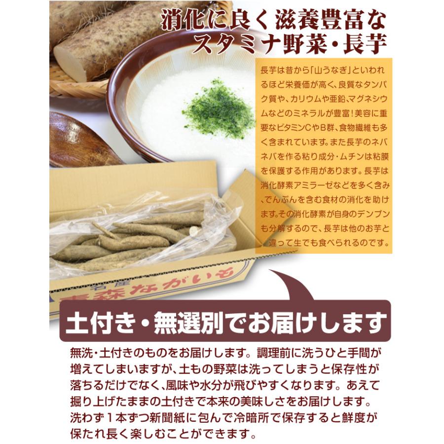 長いも 2.5kg 土付き長いも 青森産 500g×5袋 規格外 切れ子 送料無料 食品