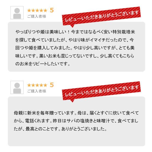 新米 5kg つや姫 お米 5キロ 山形県産 令和5年産 精米 白米