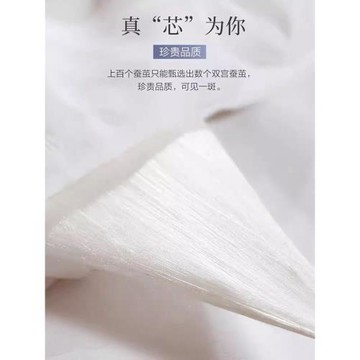 桐鄉蠶絲被100桑蠶絲冬被加厚保暖春秋被芯全棉學生宿舍空調被子