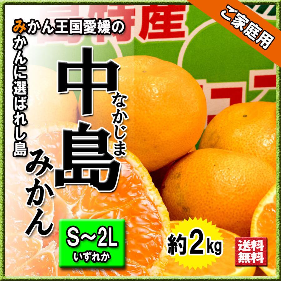 みかん 箱買い 中島みかん 中島 家庭用 愛媛みかん 送料無料 約2ｋｇ S〜2L いずれか 温州みかん